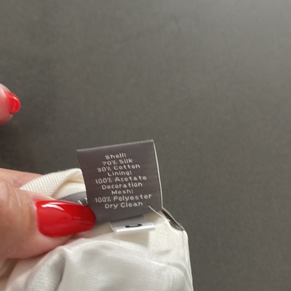 Ann Taylor NWOT Lined 70% Silk/ 30 Cotton Skirt with mesh and black trim detail. - Picture 7 of 7